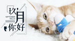九月你好