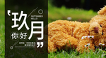 九月你好