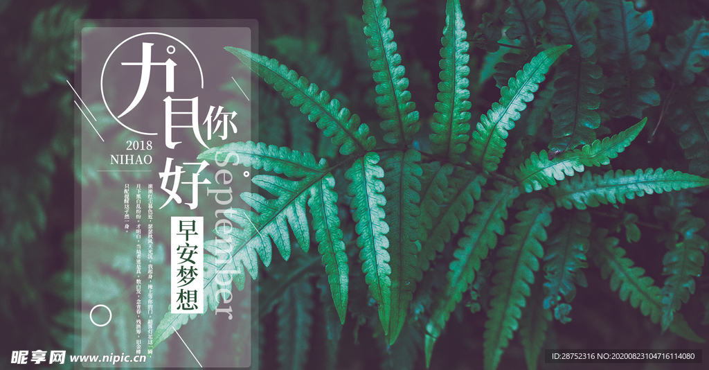 九月你好