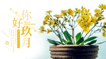 九月你好