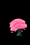 樱花树