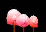 樱花树