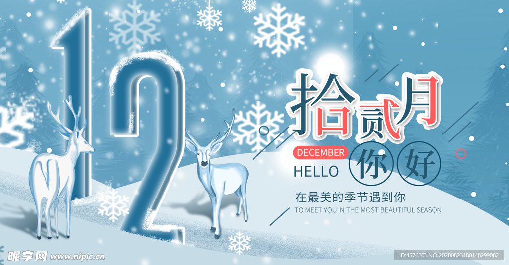 你好12月
