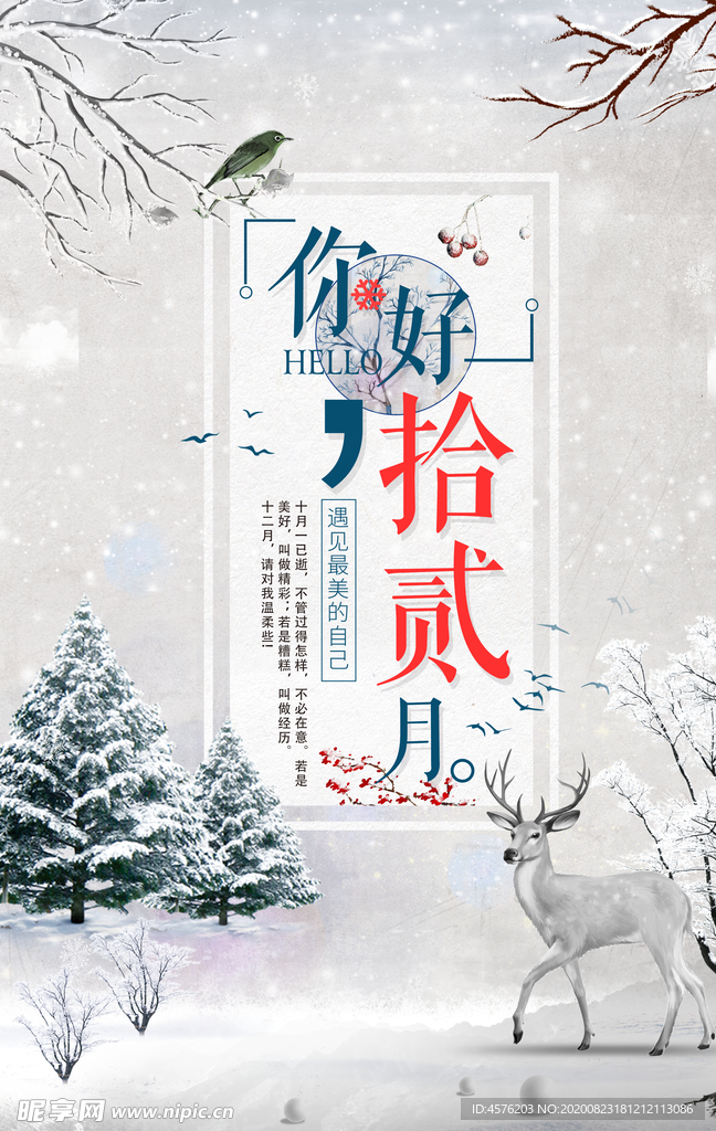 你好12月