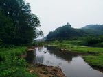 河道