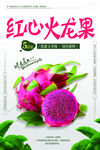 火龙果