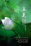 立夏海报