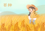芒种