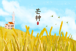 芒种
