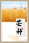 芒种