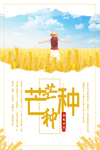芒种