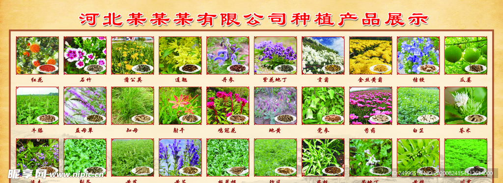 中药材种植基地