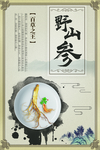 野山参海报