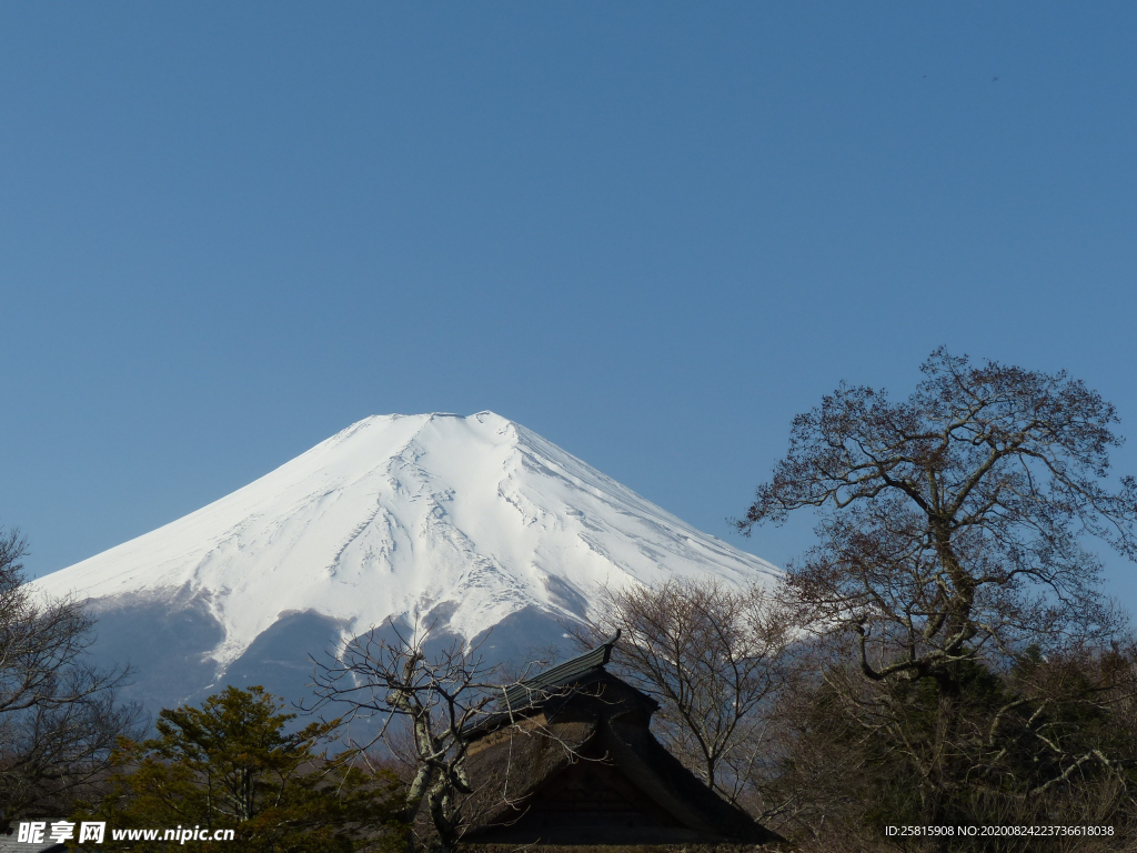 富士山