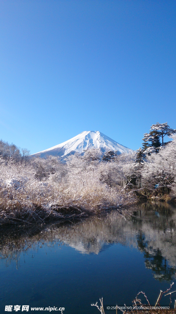 富士山