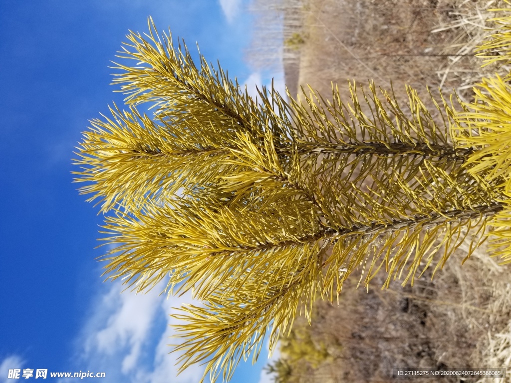 风景图片 山水 蓝天白云