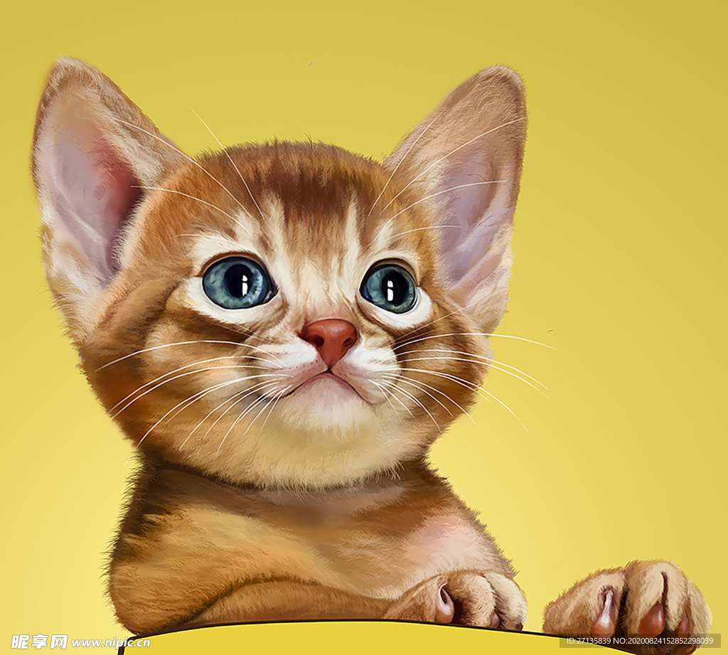 卡通猫