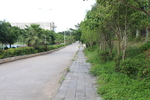 路