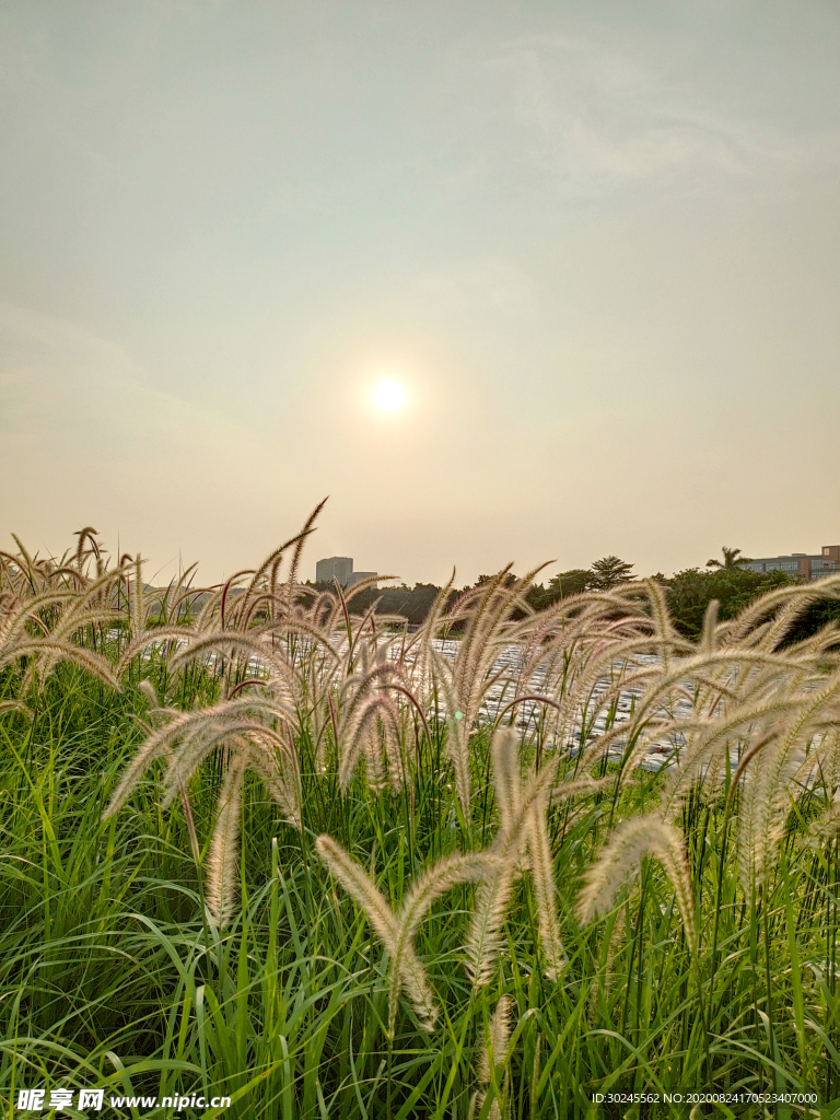 夕阳风景