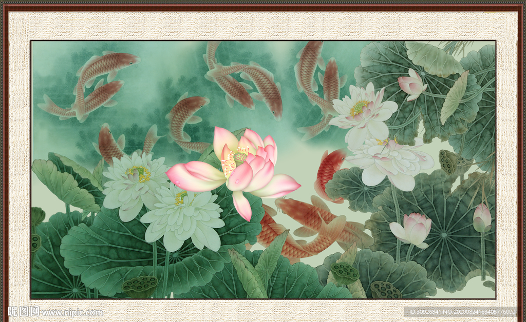 荷花