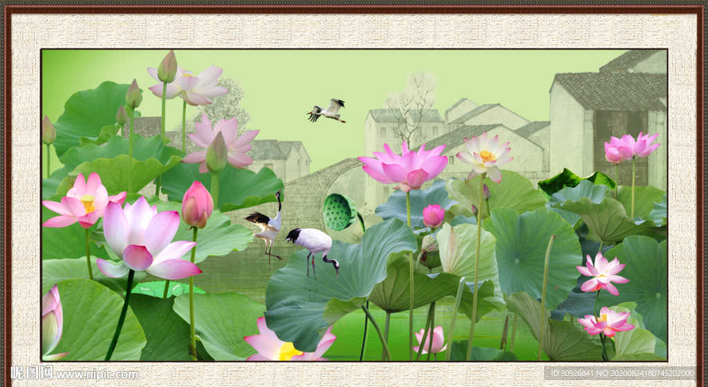 荷花