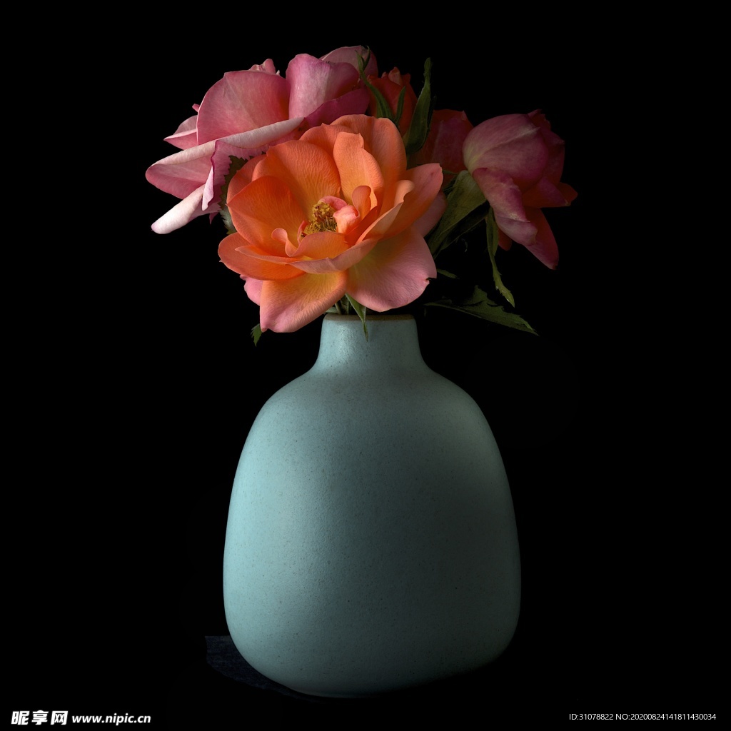 鲜花摄影图片