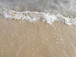 浪花