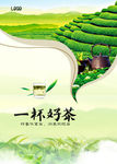 茶叶海报