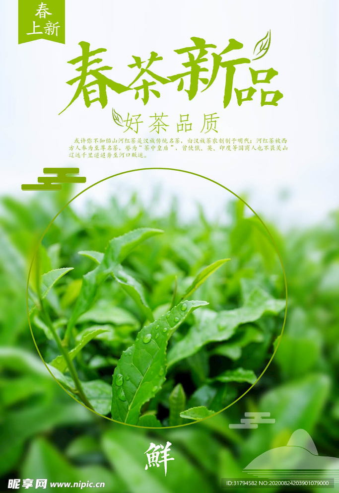 茶叶海报