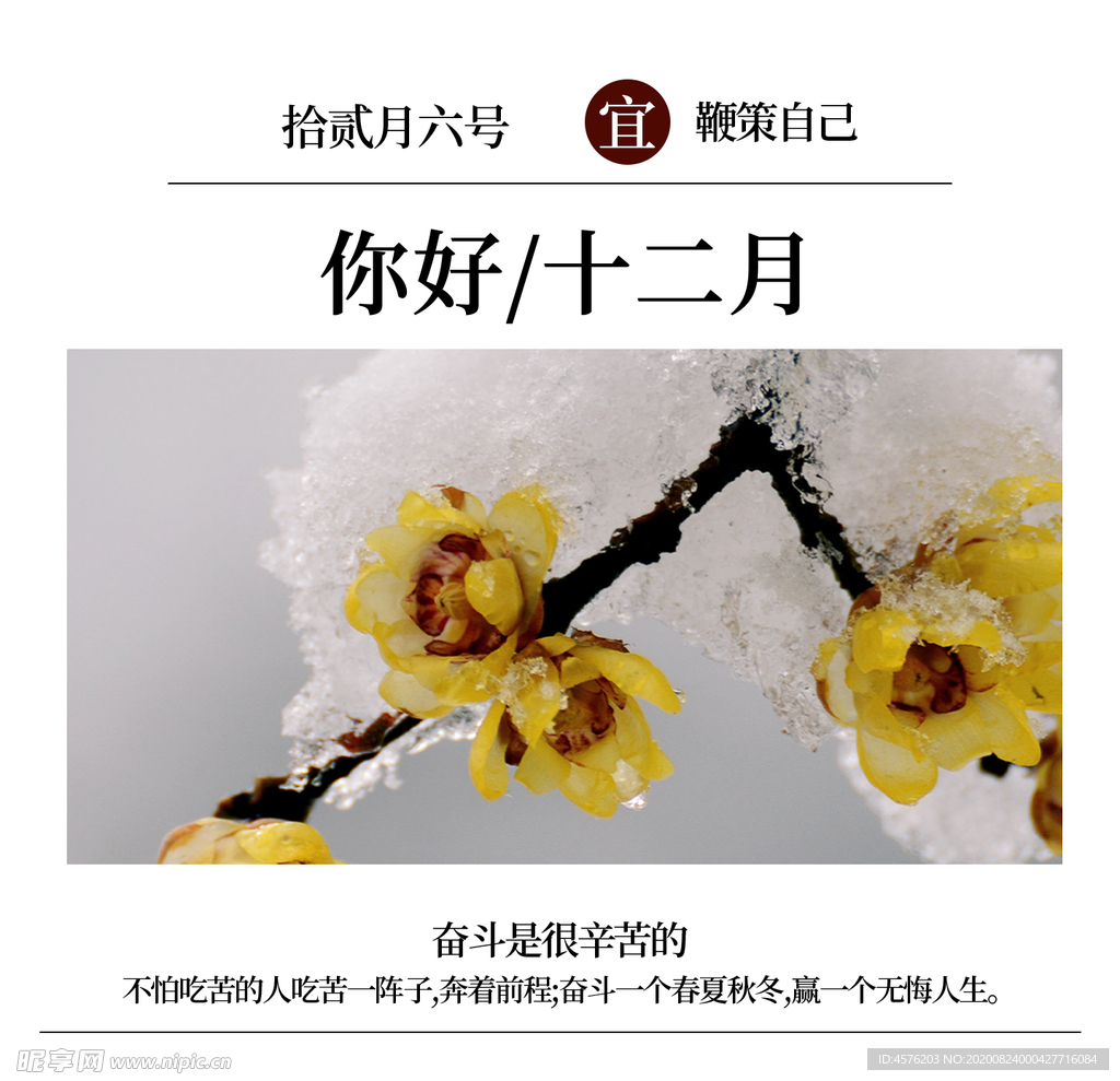 你好12月