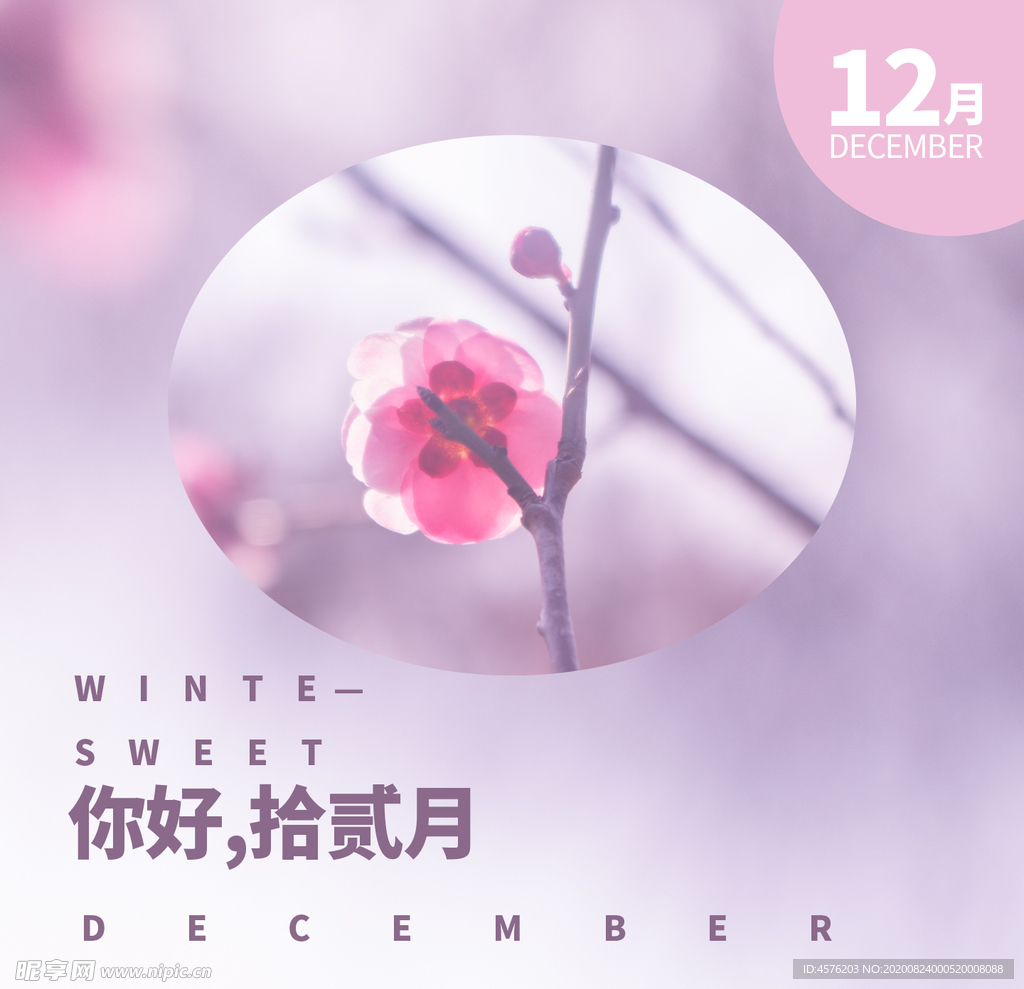 你好12月