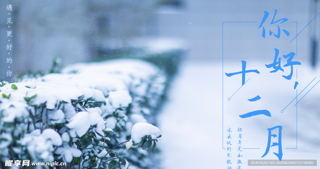 你好12月
