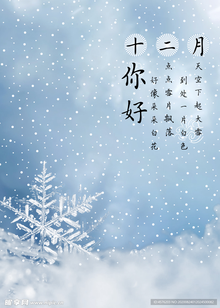 你好12月