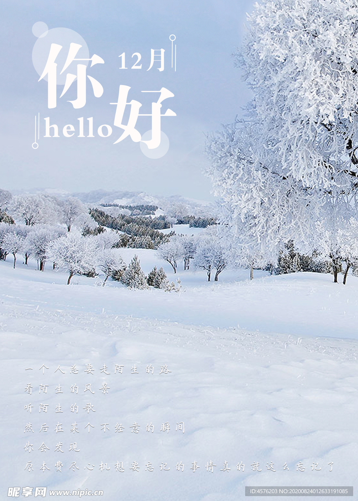 你好12月