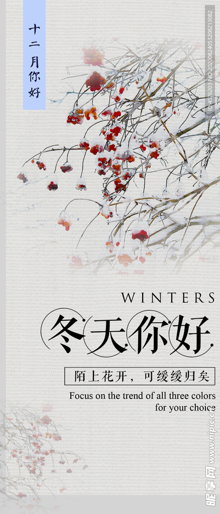 你好12月