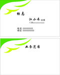 淡雅名片