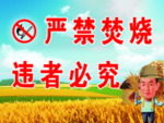 严禁焚烧