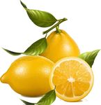 柠檬