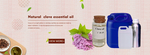 英文丁香油banner