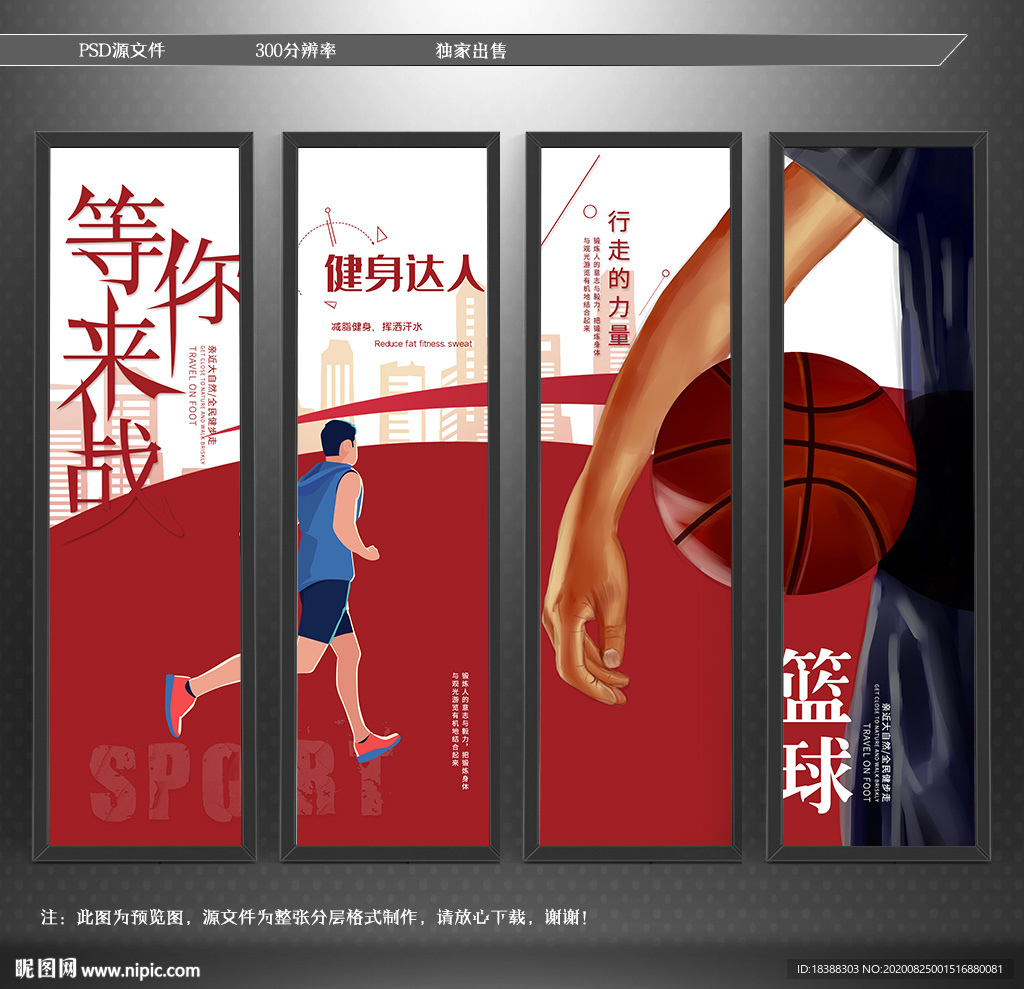 运动 篮球 健身