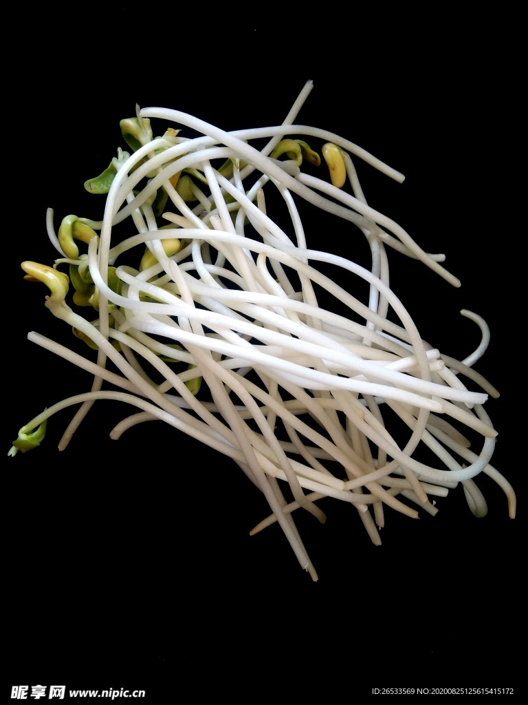 黄豆芽 火锅食材 绿色蔬菜