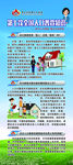 第七次人口普查宣传知识（三）