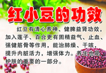 红小豆功效介绍
