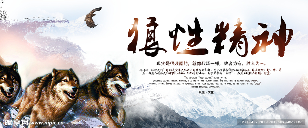 狼性精神企业文化宣传展板素材