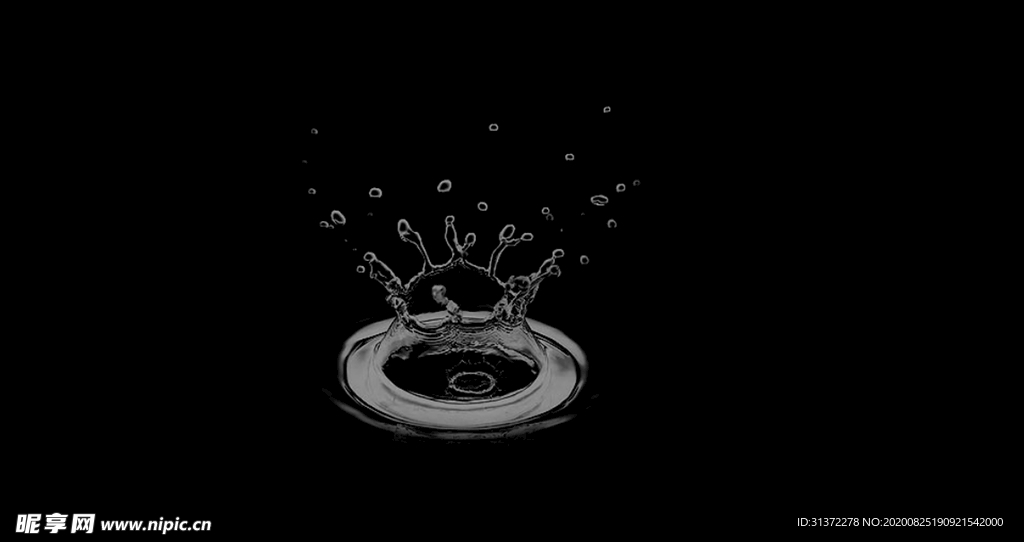 水花图片