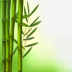 矢量动物 矢量植物 插画 手绘