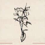 矢量动物 矢量植物 插画 手绘