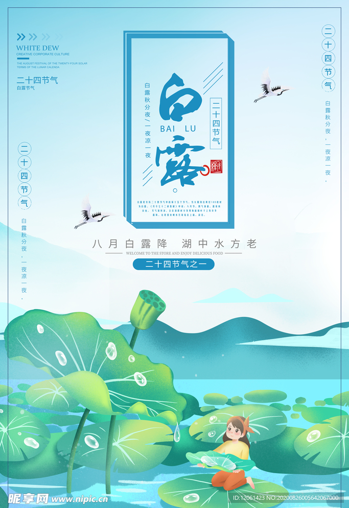 白露