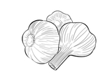 蒜