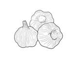 蒜